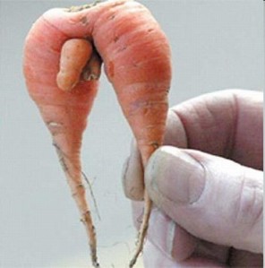 Mr Smyth's carrot